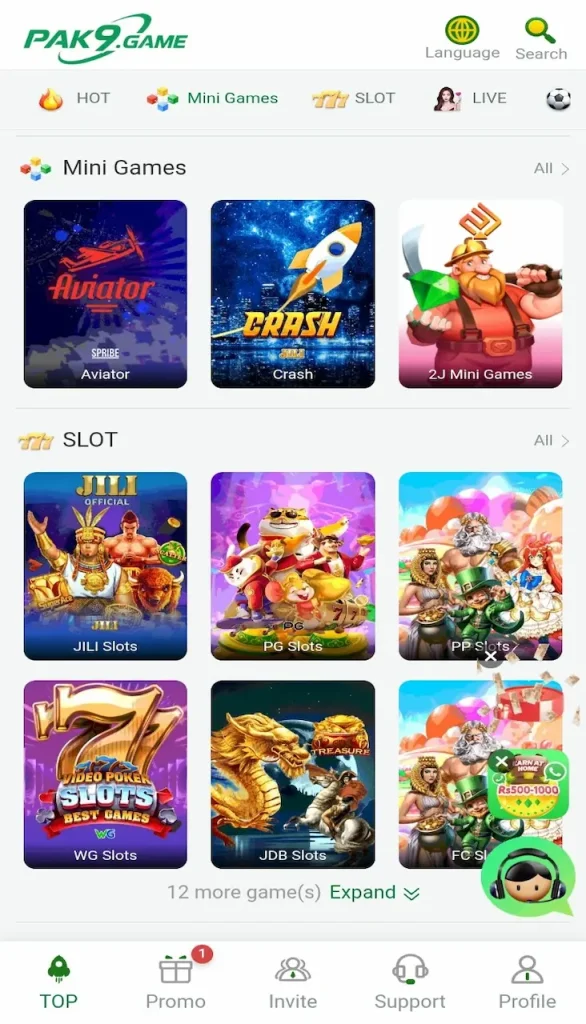 PAK9 Game APK